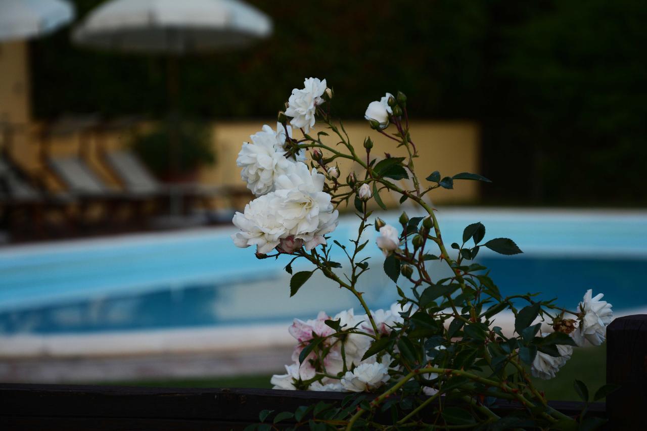 Il Poggiolo Di Parrano Guest House Ngoại thất bức ảnh